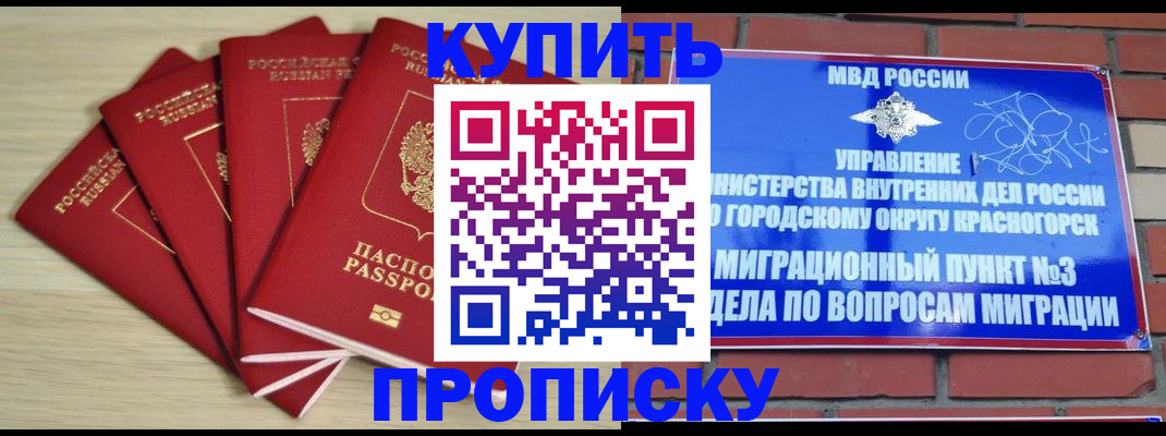 временная регистрация для всех в Белой Холунице